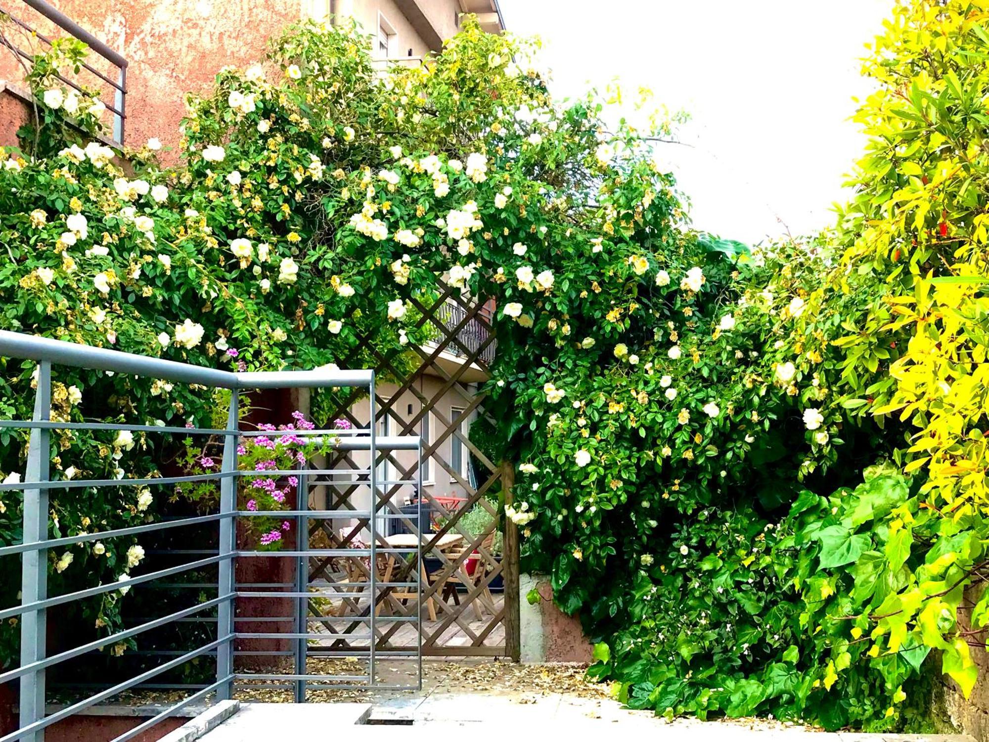 Villa Maria Apartments Moniga del Garda Exterior photo